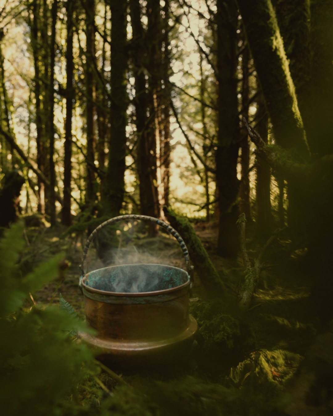 The Birch path - Introduction to Hedgewitchery